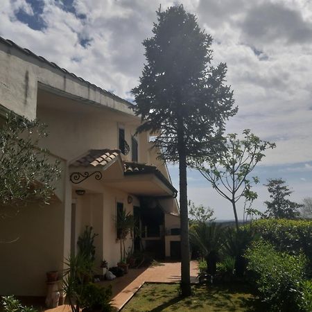 Affittacamere Parco Azzurro Colle Verde Exterior foto